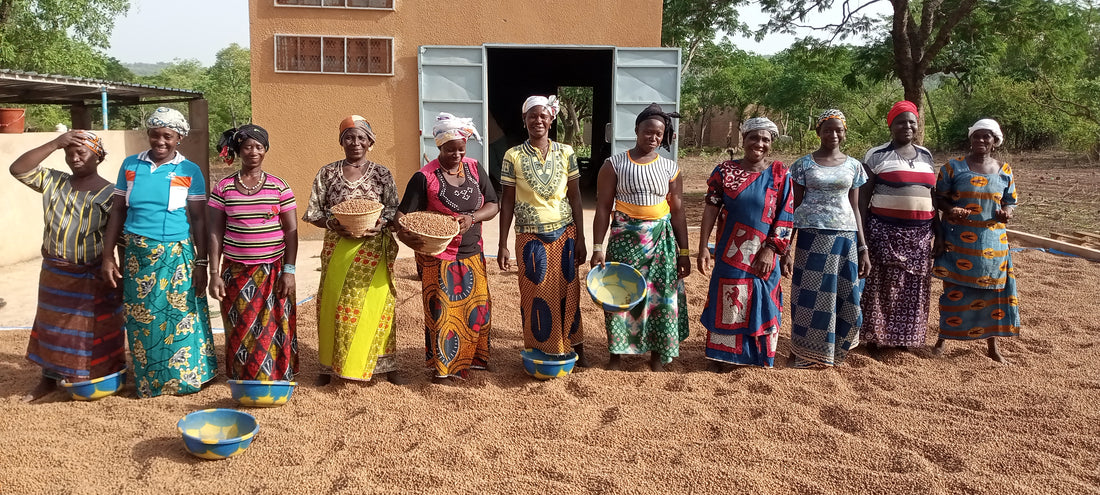 Tiger nuts and the Mousso Faso farming collective story